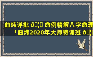 曲炜详批 🦆 命例精解八字命理「曲炜2020年大师特训班 🦈 八字81」